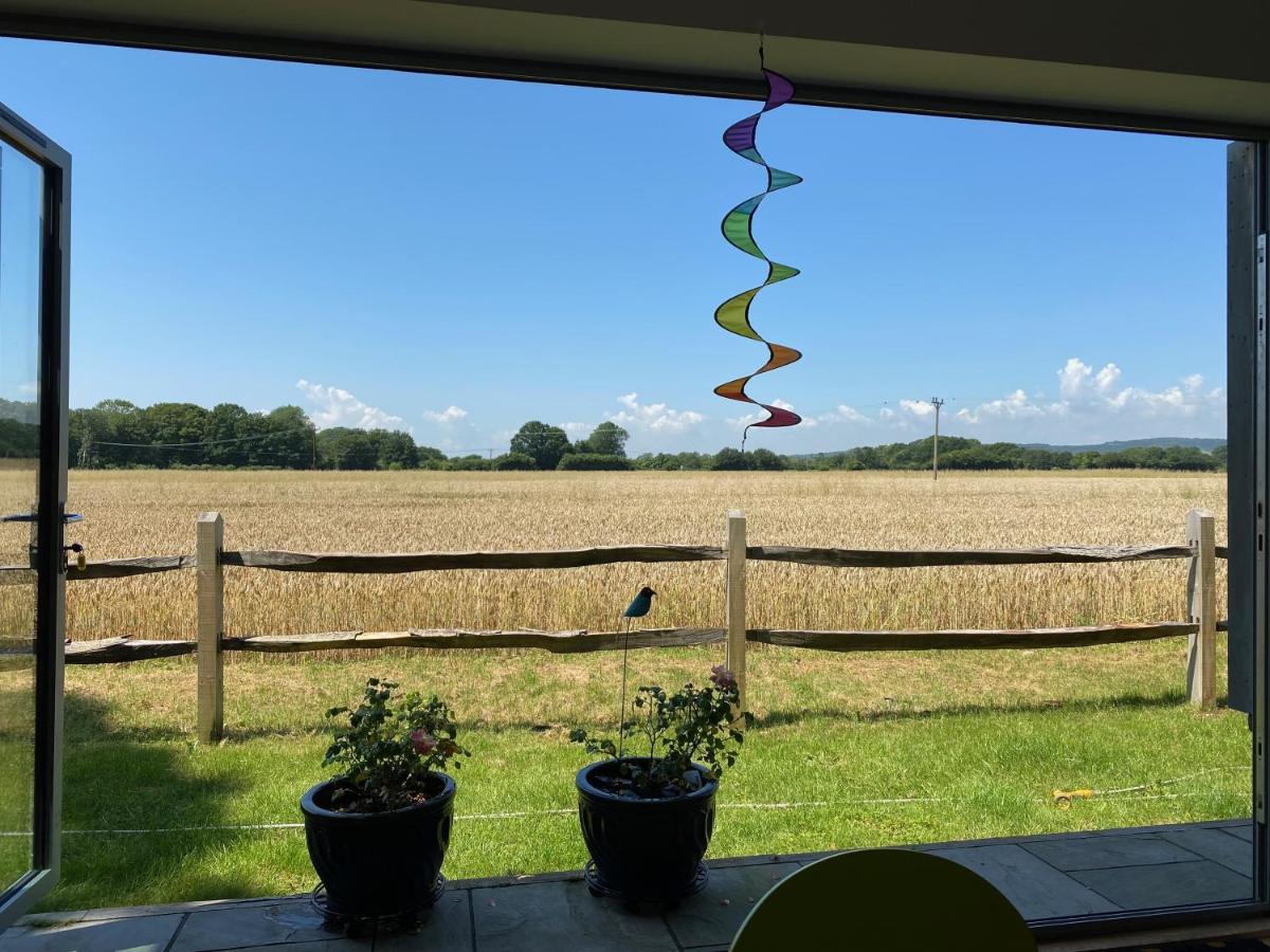 مبيت وإفطار شيشستر Flint House - Goodwood Events المظهر الخارجي الصورة