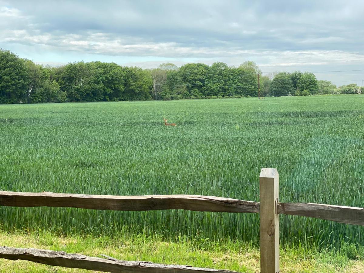 مبيت وإفطار شيشستر Flint House - Goodwood Events المظهر الخارجي الصورة
