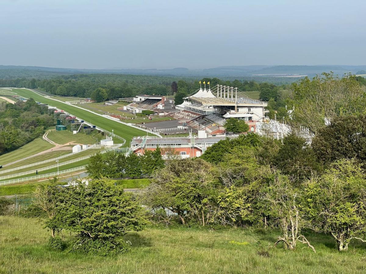 مبيت وإفطار شيشستر Flint House - Goodwood Events المظهر الخارجي الصورة